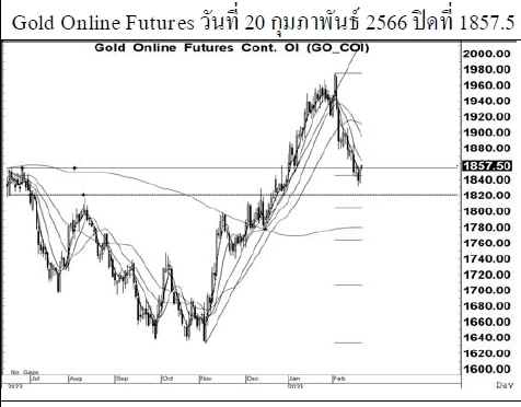 Daily Gold Futures (วันที่ 21 กุมภาพันธ์ 2566)