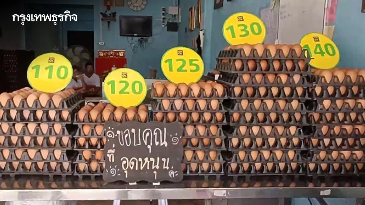 ผลพวง "ไข่แพง" กระทบไข่เบอร์ 0 ขนาดใหญ่สุดขายไม่ออก เช็กเลย ราคาไข่ไก่ ล่าสุด