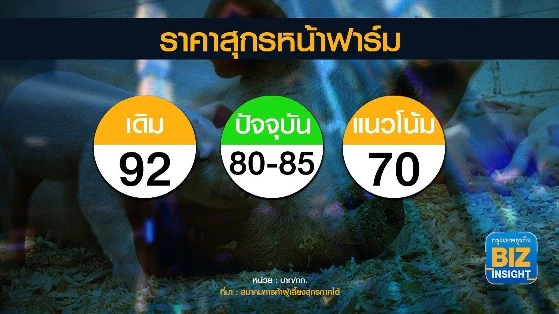 ‘หมู’ ราคาตก เกษตรกรจี้รัฐเร่งแก้ปัญหา