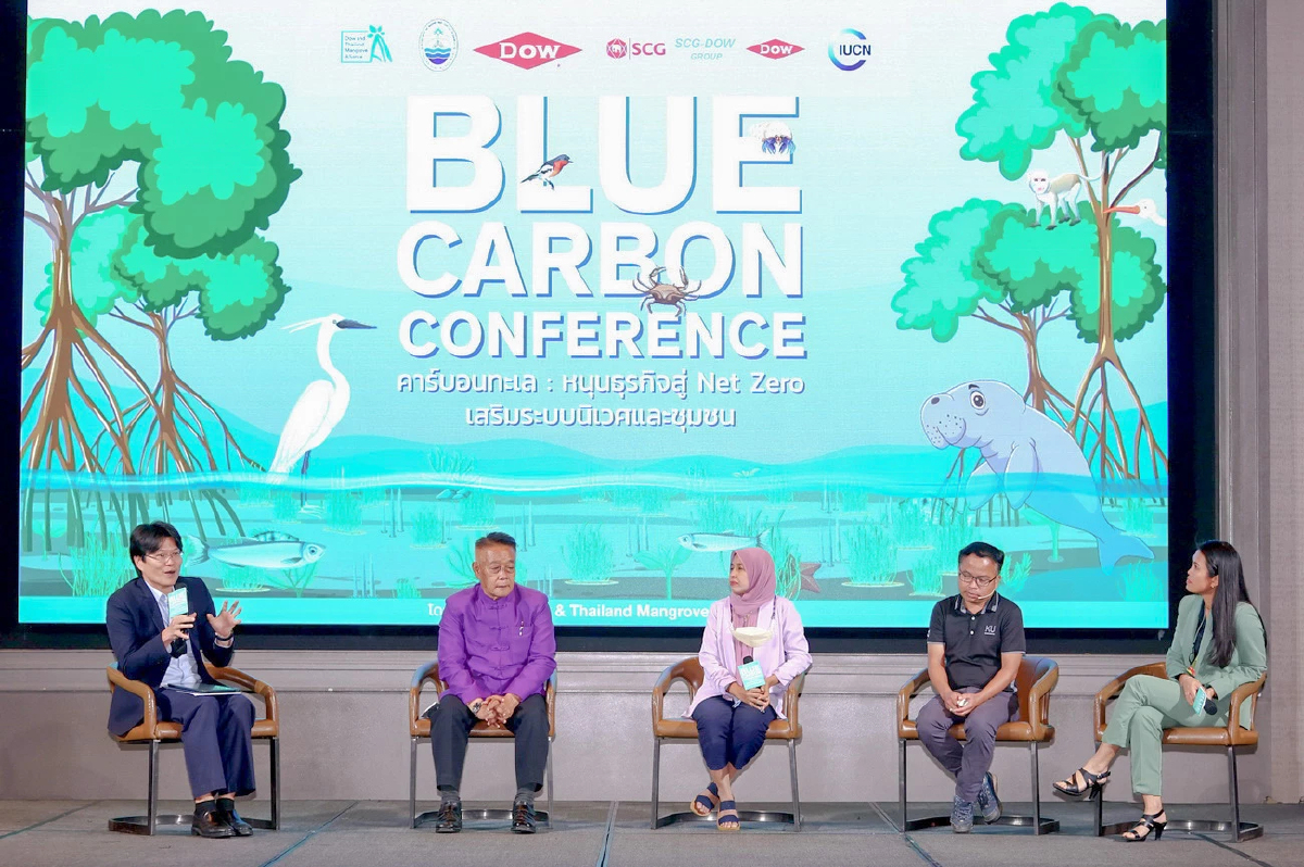 โครงการ Dow & Thailand Mangrove Alliance