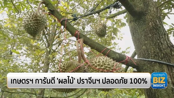เกษตรฯ การันตี ‘ผลไม้’ ปราจีนฯปลอดภัย 100%