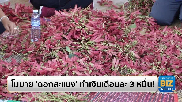 โมบาย ‘ดอกสะแบง’ ทำเงินเดือนละ 3 หมื่น!