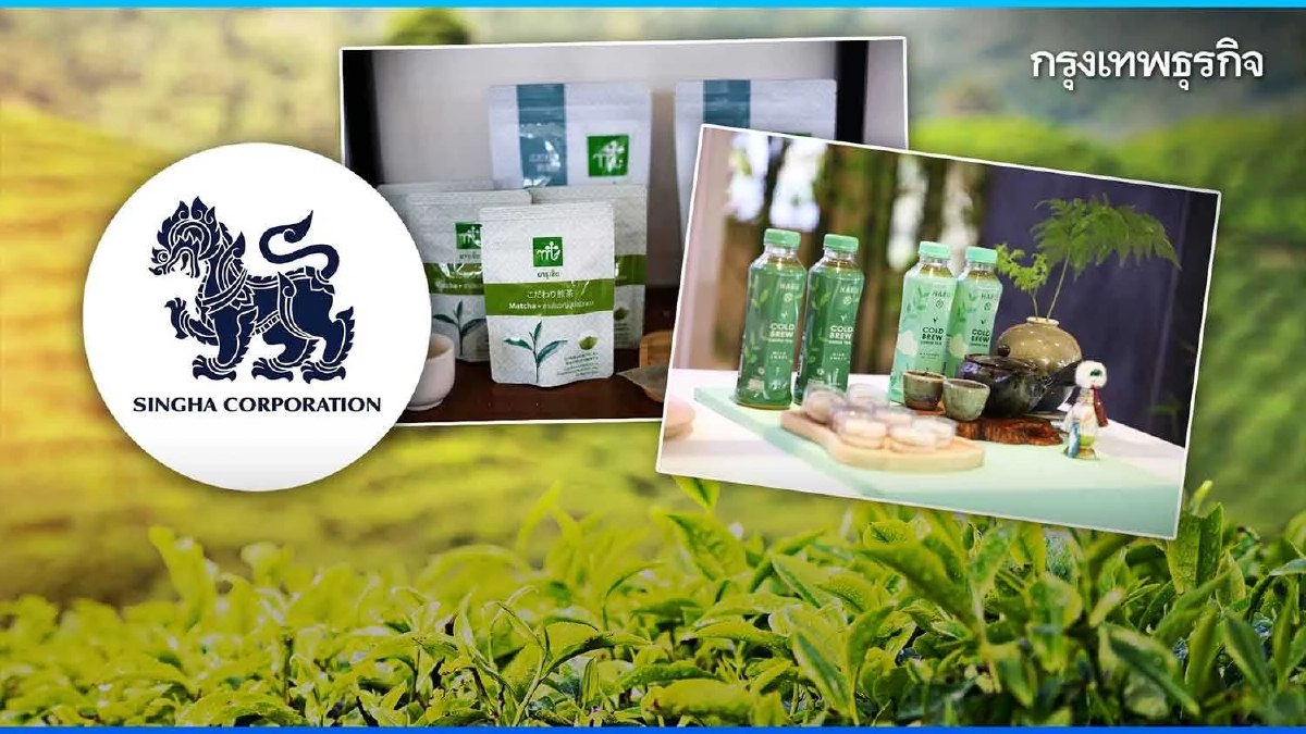 เจาะความพยายามครั้งใหม่  ‘บุญรอดบริวเวอรี่’ รุกชาเขียวพร้อมดื่มหมื่นล้าน!