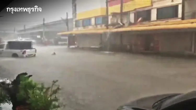 เจอฤทธิ์ 'พายุฤดูร้อน' ชลบุรีฝนถล่ม ต้นไม้โค่นทับบ้านเรือนเสียหายหลายหลัง