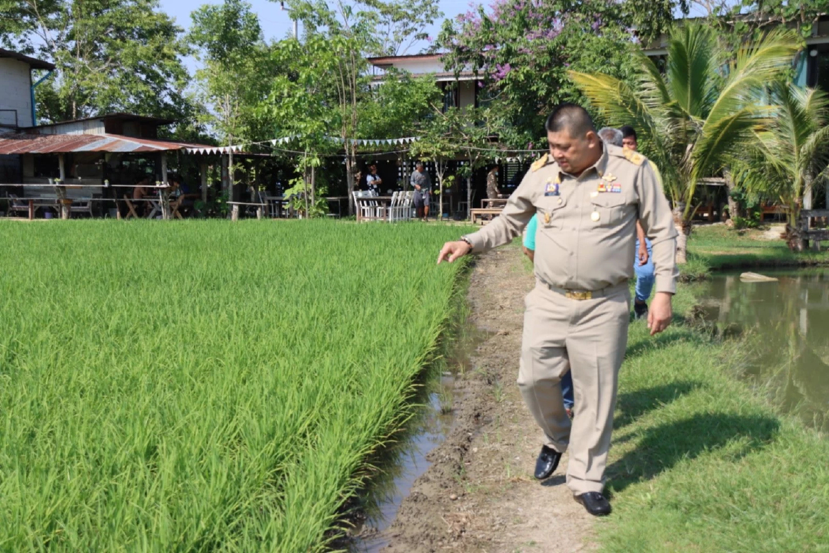 อธิบดีข้าว ลุยไม่พัก เยือนเมืองกาญ และราชบุรี เยี่ยมศูนย์ข้าวชุมชน