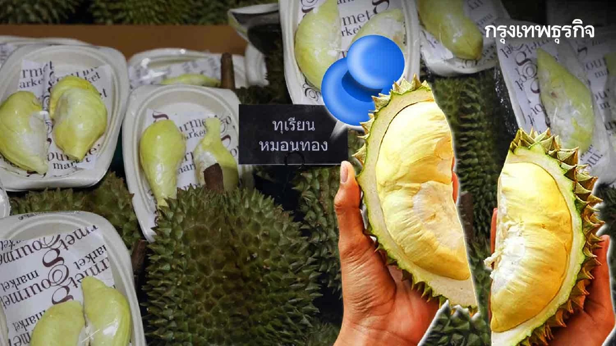 ปักหมุดห้างค้าปลีก-ศูนย์การค้าจัด 'บุฟเฟต์ทุเรียนทุเรียน' เริ่มที่ 499 บาท