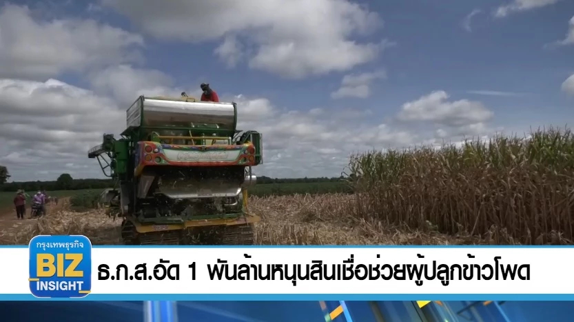  ธ.ก.ส.อัด 1 พันล้าน หนุนสินเชื่อช่วยผู้ปลูก​ข้าวโพด