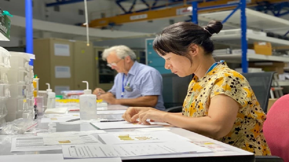 ซินโครตรอนไทยไขปริศนากระเทียมจากออสเตรเลีย