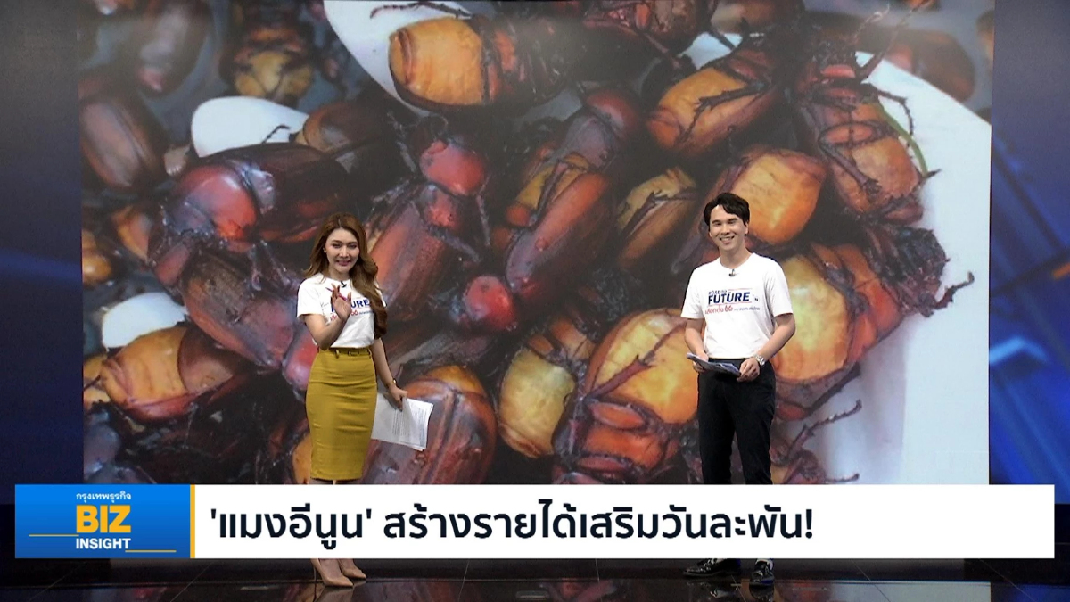 ‘แมงอีนูน’ สร้างรายได้เสริมวันละพัน!