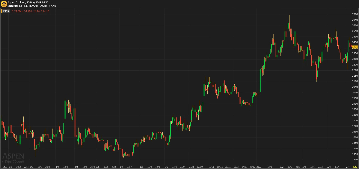 SNNP ผลประกอบการ 1Q66: ดีกว่าเราคาด (10 พ.ค. 66)