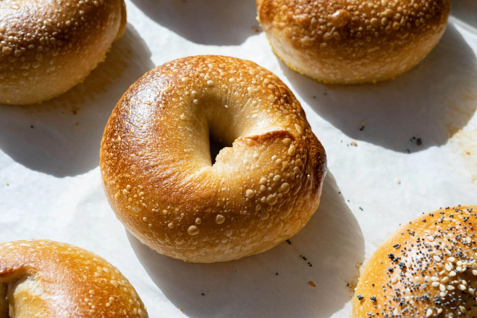 Bagel 82W6fiE8Lz6wDlCFOAAZ.webp