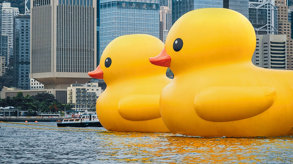 เปิดภาพ ‘เป็ดเหลืองยักษ์’ บุกฮ่องกง! รอบนี้กลับมาแบบแพ็กคู่