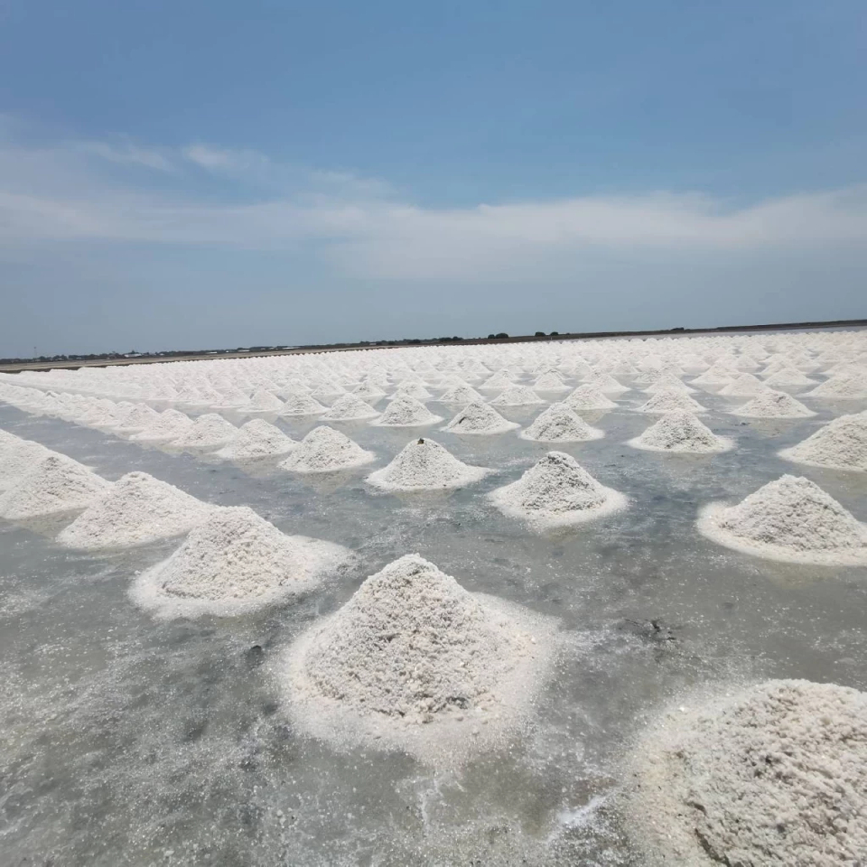 กระทรวงเกษตรฯ เก็บข้อมูลเกลือทะเล เล็งยกระดับเป็นมรดกโลก