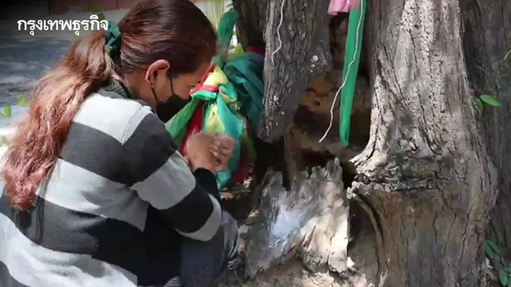 มาแล้ว! เลขเด็ด 16/6/66 แม่ตะเคียน วัดดังอ่างทอง คอหวยขอได้เลข 2 ตัวเสี่ยงโชค