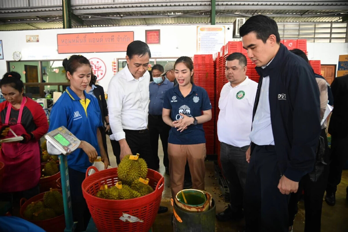 ปลัดพาณิชย์ เกาะติดสถานการณ์ค้าทุเรียนใต้ ย้ำต้องทำตามกฎหมาย