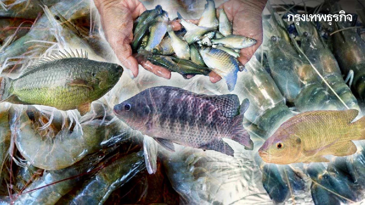 “6 สัตว์น้ำพันธุ์ดี” เลี้ยงง่าย โตไว รายได้งาม
