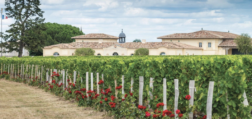 จัดชั้น ‘ไวน์บอร์กโดซ์’ ใหม่ ‘ไวน์ฝั่งขวา’ ผงาดครองชั้น 1