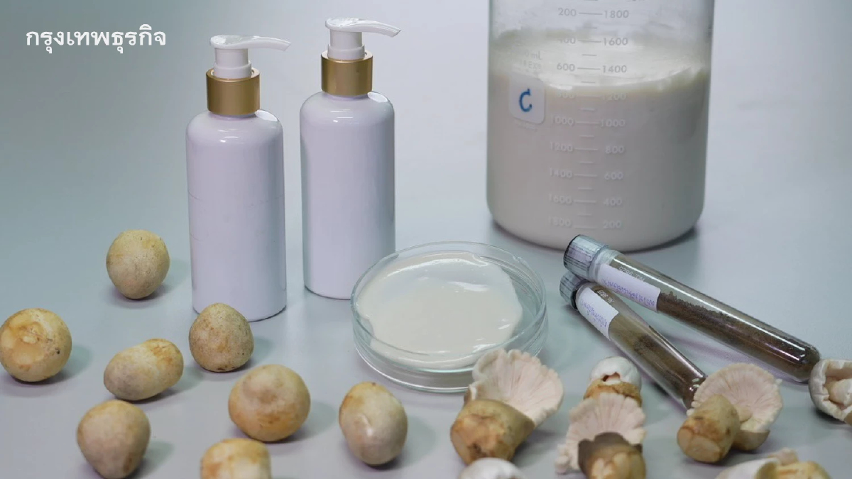 จากเห็ดฟาง สู่ความงามอย่างอ่อนเยาว์ “ไทยทำ ไทยใช้ สู่เวทีโลก”