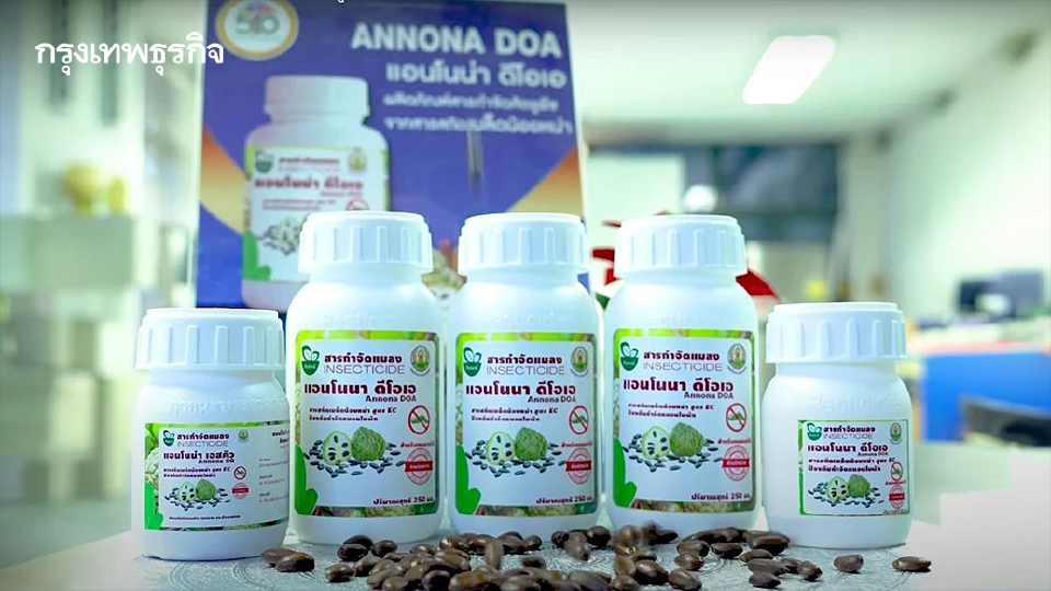 สารกำจัดศัตรูพืชจากสารสกัดน้อยหน่า “ต้นทุนต่ำ-ประสิทธิภาพสูง”