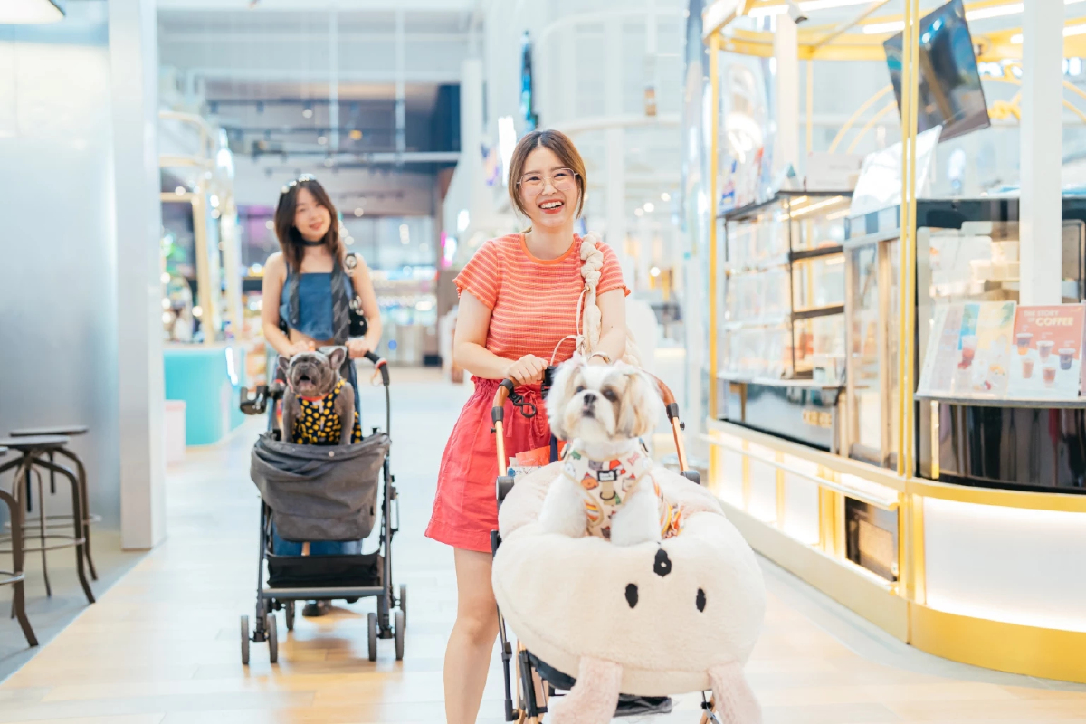 โลตัส เปิด 100 สาขาให้ลูกค้าพาสัตว์เลี้ยงร่วมชอปปิง รุก Pet Friendly Mall 