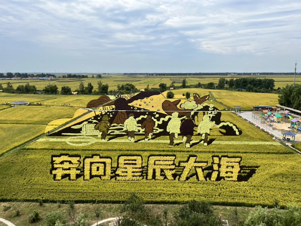 โมเดล ‘ศิลปะทุ่งนา’ หนุนรายได้เกษตรกรเพิ่ม 2 เท่า