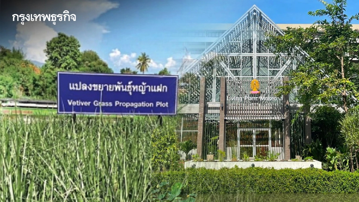 'พิพิธภัณฑ์พืชมีชีวิต' สู้โลกเดือด พื้นที่สีเขียวในเมืองสังคมคาร์บอนต่ำ