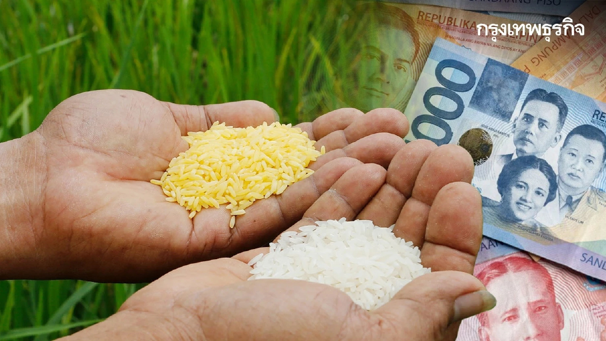 มาตรการ‘ตรึงราคาข้าว’ สั่นคลอนชีวิตชาวนาฟิลิปปินส์