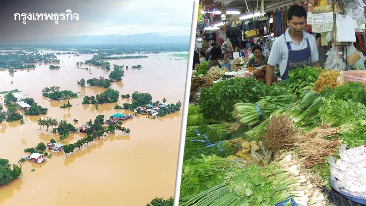 พิษน้ำท่วม ส่งผลให้ผักแพง เพราะขาดตลาด