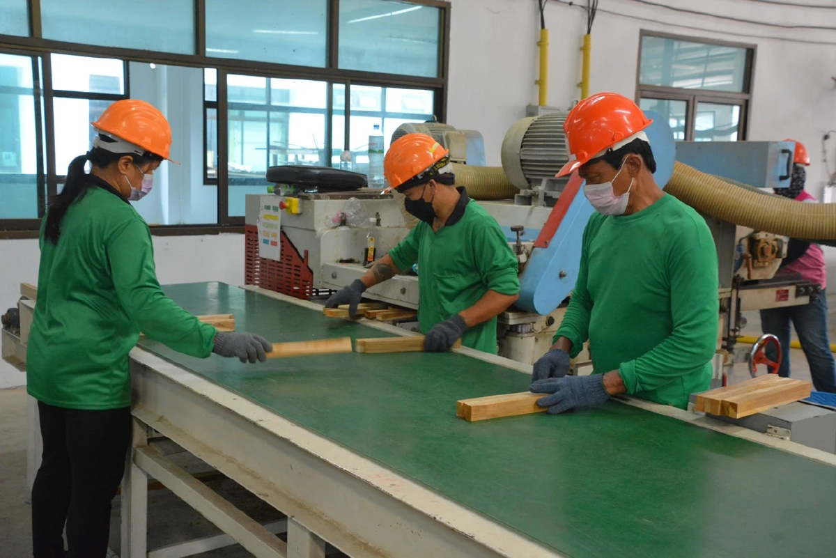 เปิดแผนงาน อ.อ.ป. ปี 2567 มุ่งเป้าส่งออกไม้เพิ่ม หลังรัฐปลดล็อคภาษีขาออก