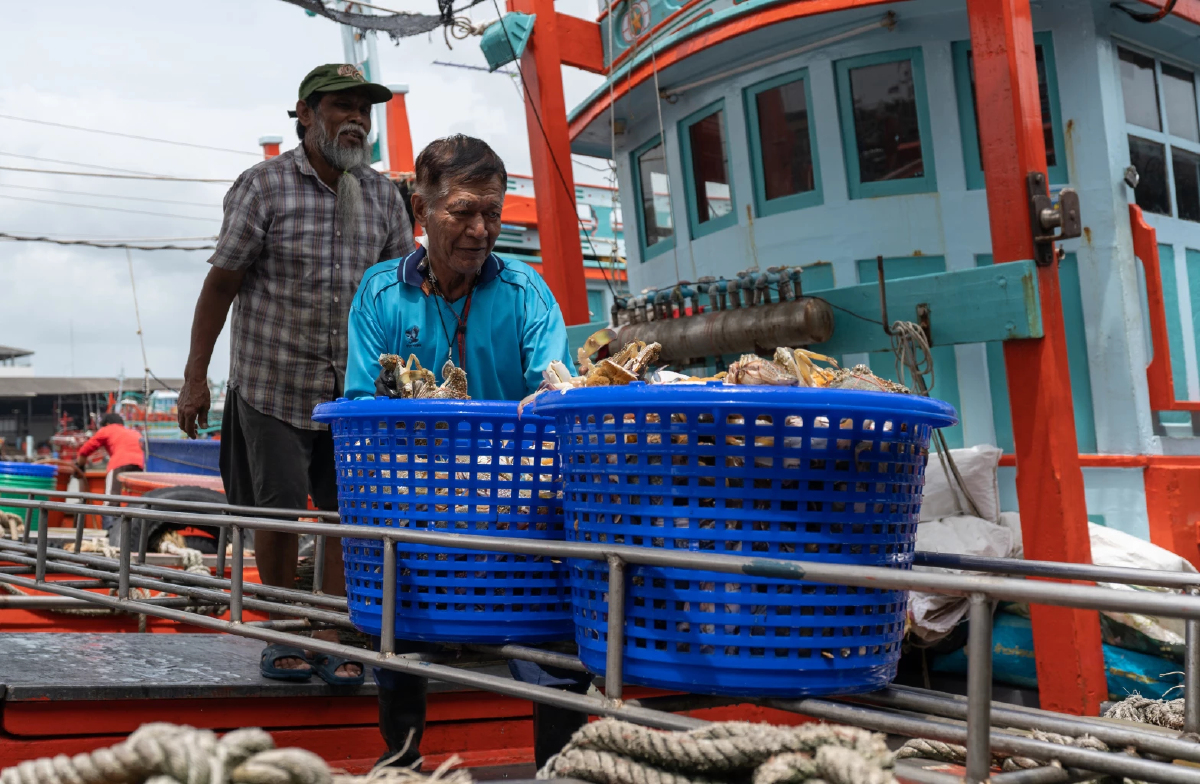 5 สถาบันศึกษาลุยวิจัยวิถีประมงพื้นบ้านปัตตานี ต่อยอดแบรนด์ “กลางเล”