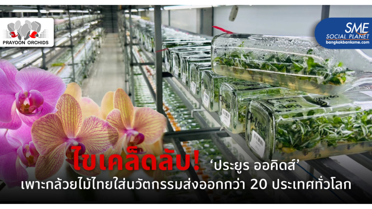 'ประยูร ออคิดส์' กับเคล็ดลับทำธุรกิจเพาะกล้วยไม้ให้แตกต่าง โตอย่างยั่งยืน