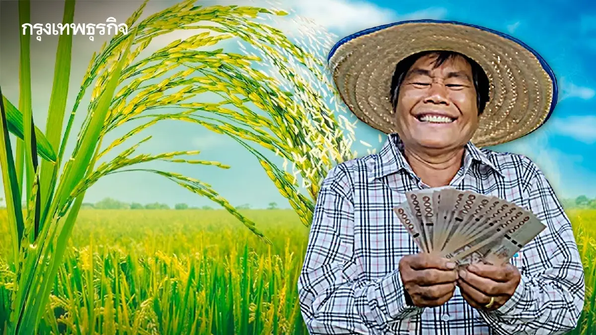 แจกเงินช่วยเหลือ ไร่ละ 1000 ล่าสุด เกษตรกรกลุ่มไหนได้ เช็กก่อนอด