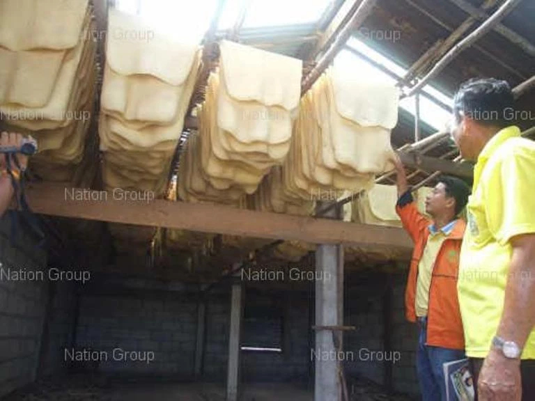 ยางแผ่นดิบ (สงขลา) 53.45 บวก 0.40 บาท ยางแผ่นรมควันชั้น3 (สงขลา) 55.88 บวก 0.46 บาท