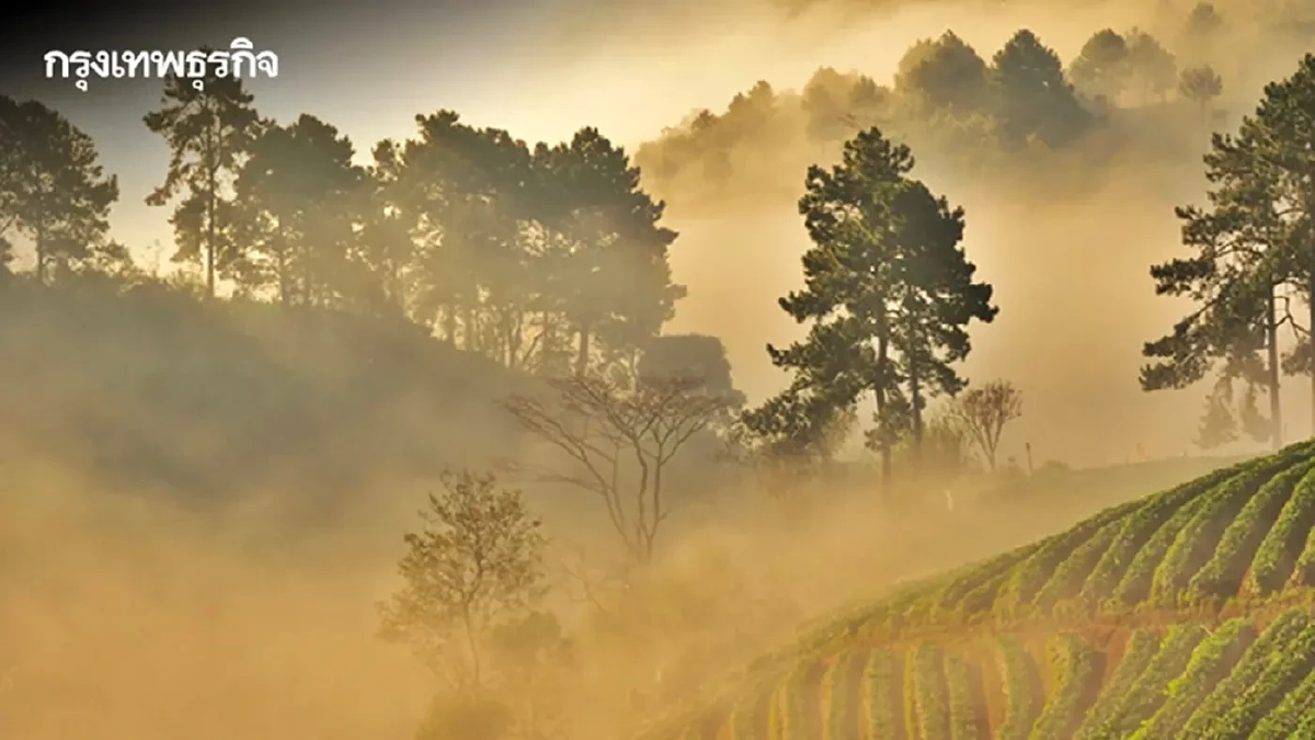 สภาพอากาศวันนี้ ไทยตอนบนอากาศเย็นในตอนเช้า-มีฝน ใต้เจอมรสุมฟ้าคะนอง 40%