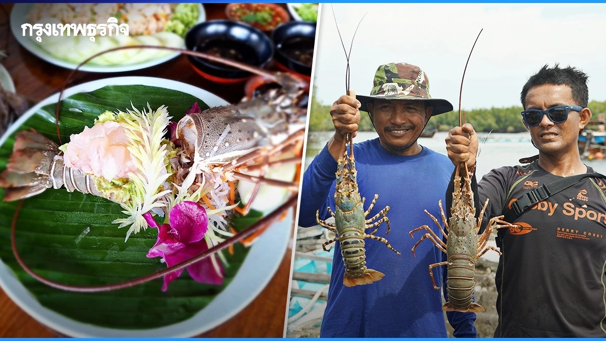 ต้อนรับปีใหม่ปีมังกร 2567 แห่กินกุ้งมังกร 7 สี จากกลางทะเลลึก