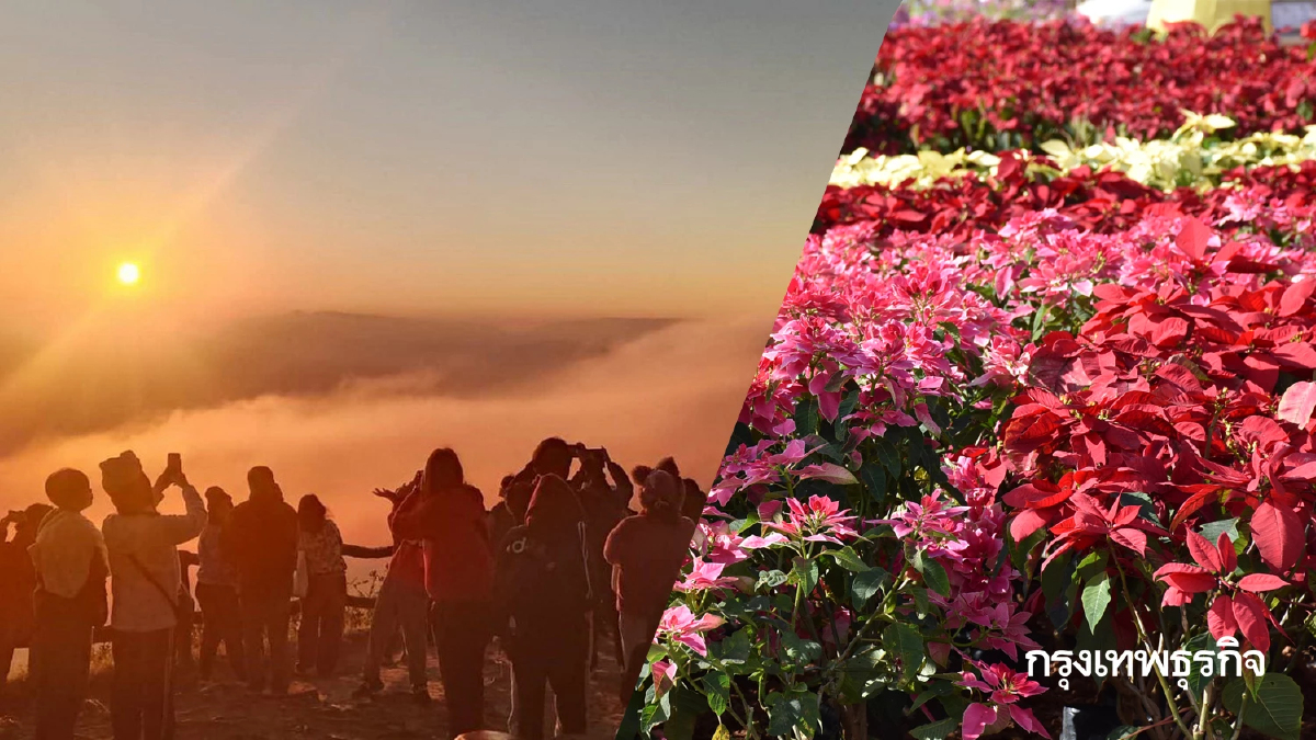 หยุดยาว ส่งท้ายปีเก่าต้อนรับปีใหม่ นทท.นับพัน ขึ้นพักรอเคาท์ดาวน์ 'ภูเรือ'