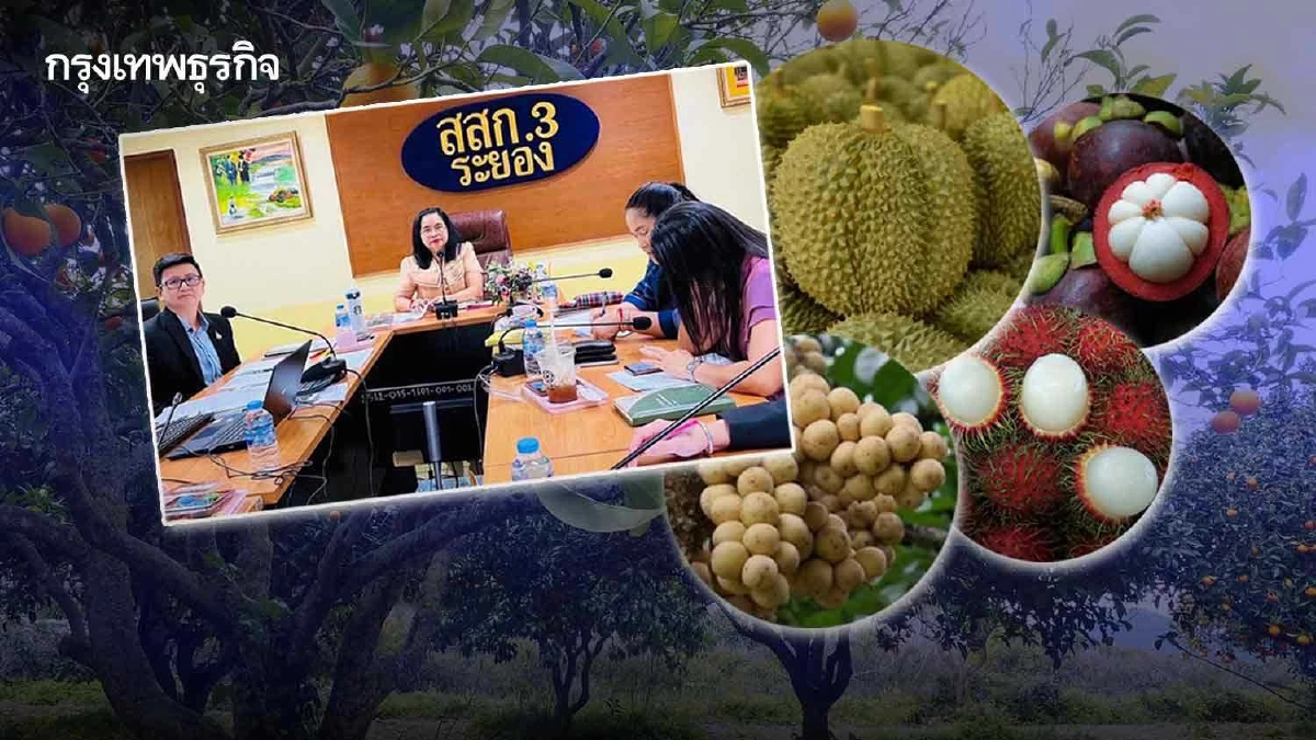 ผลไม้ตะวันออกปี67เพิ่ม15 % อากาศป่วนผลผลิตออกช้า