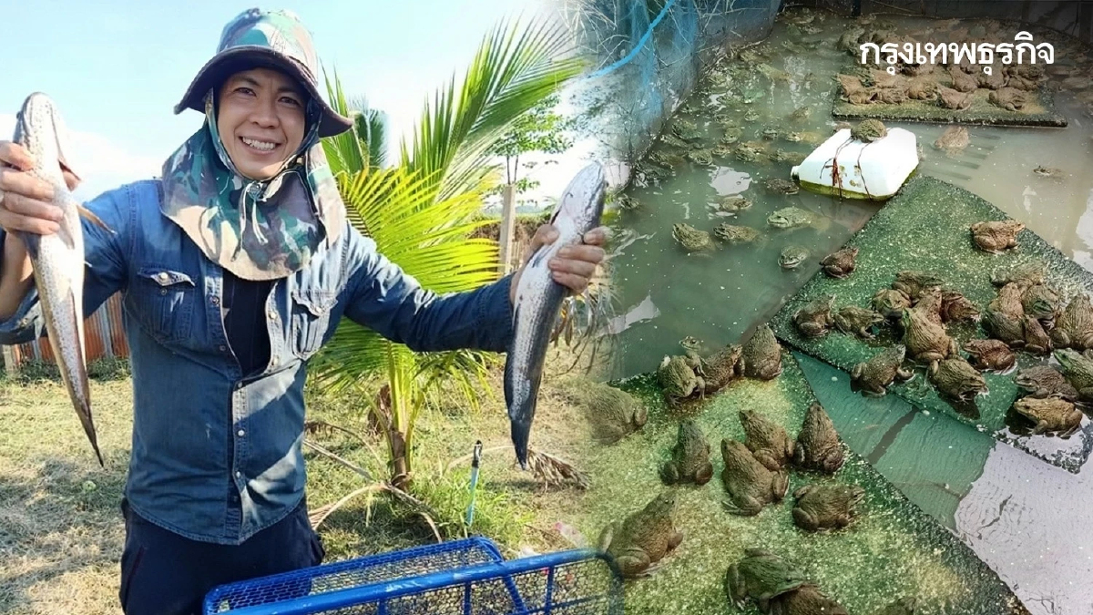 กรมประมง ชูผลสำเร็จเกษตรกรต้นแบบศพก. เครือข่ายด้านการประมง