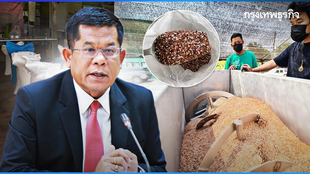 เกษตร-พาณิย์ ขยายเวลาลดราคาปุ๋ย ถึง มี.ค. 67