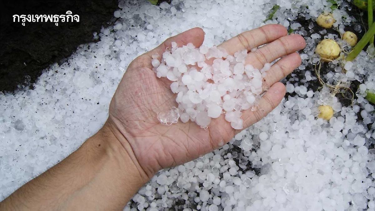 อากาศวันนี้ อุตุฯ ประกาศ ฉ.7 ไทยตอนบน อากาศแปรปรวน ฝนตก ลมแรง ลูกเห็บตกบางแห่ง