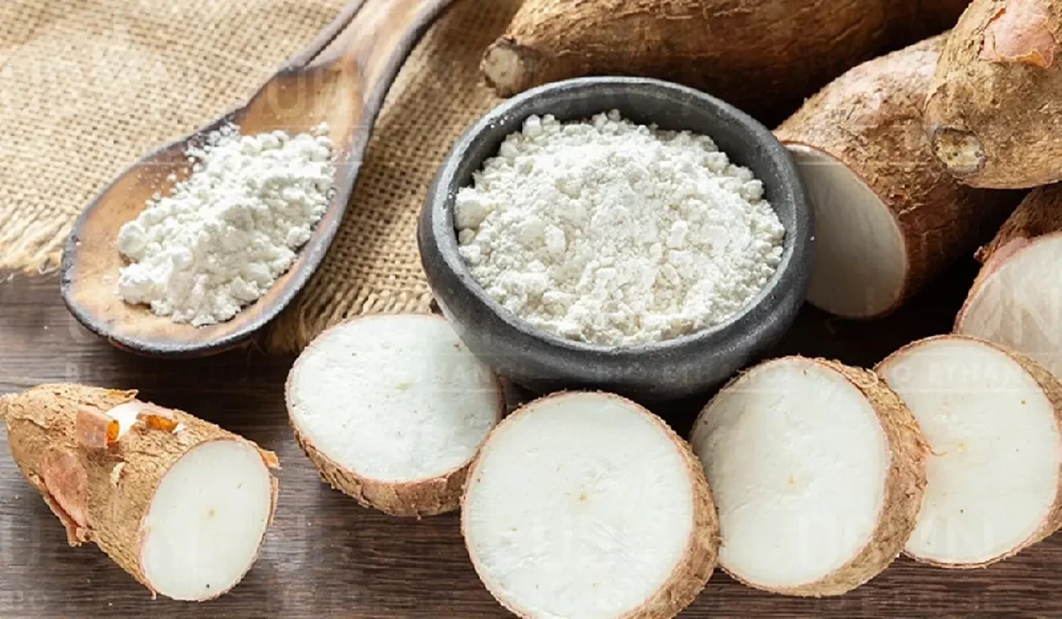 กสิกรไทย คาดยอดส่งออก แป้งมัน ไปจีนลด 8%!