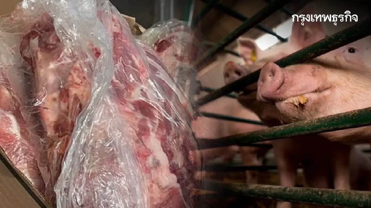 จี้รัฐเร่งปราบ ‘หมูเถื่อน’ ฟังมุมมอง สิทธิพันธ์ ธนาเกียรติภิญโญ