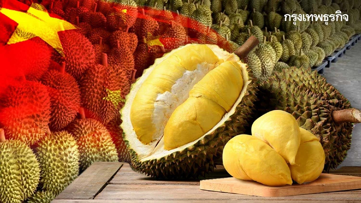จีนอนุมัตินำเข้าทุเรียนจากเวียดนามเพิ่ม 27 สวน ดันยอดส่งออกโตอีกในปีนี้