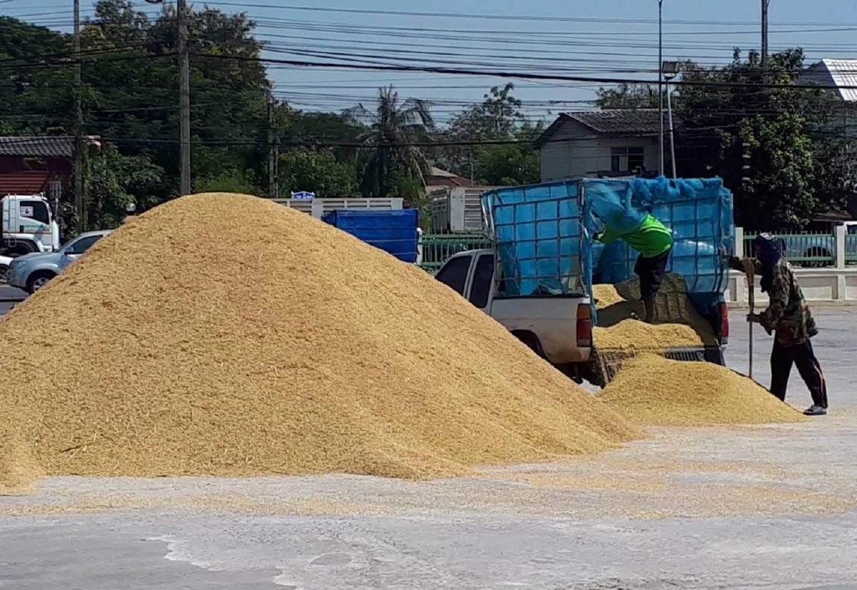 รายงานราคาข้าวขายส่งตลาดกรุงเทพฯ (สมาคมโรงสีข้าวไทย) วันที่ 11 เมษายน 2567