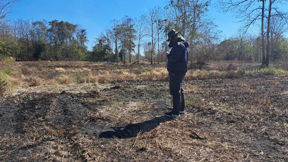 กรุงเทพโปรดิ๊วส เพิ่มประสิทธิภาพตรวจจับเผาแปลงข้าวโพดแบบรายวัน