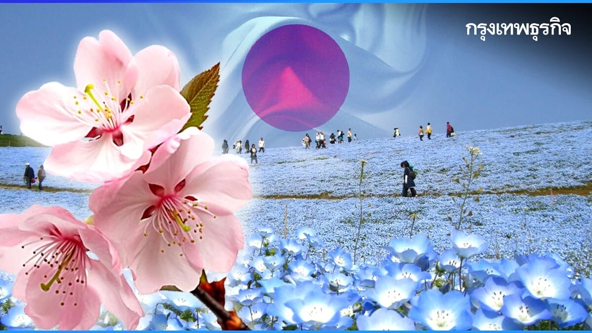 เที่ยว ‘เมืองรองญี่ปุ่น’ บูม! สัมผัสเสน่ห์ท้องถิ่นแบบใหม่