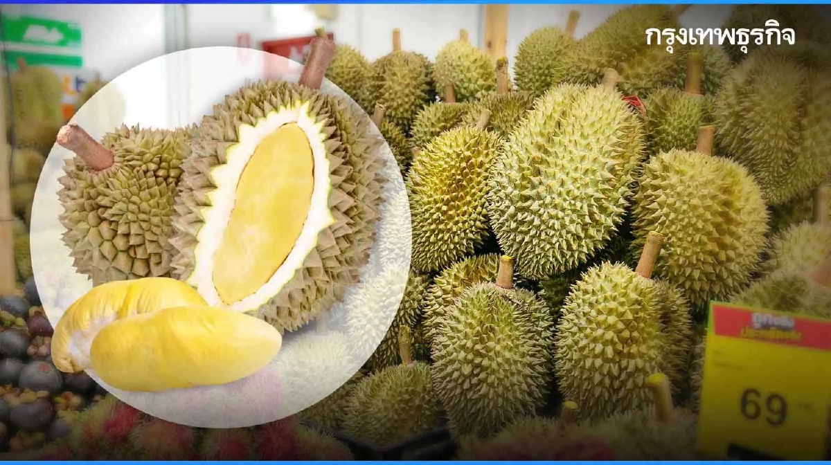 ส่องบุฟเฟต์ทุเรียนห้างค้าปลีก-ศูนย์การค้า จัดเต็ม ราคาตั้งแต่ 599-999 บาท