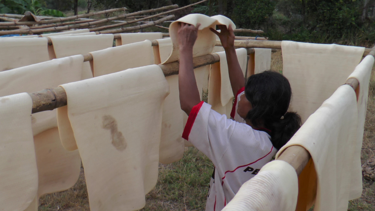 สถานการณ์ยางพารา ประจำวันที่ 25 มิถุนายน 2567