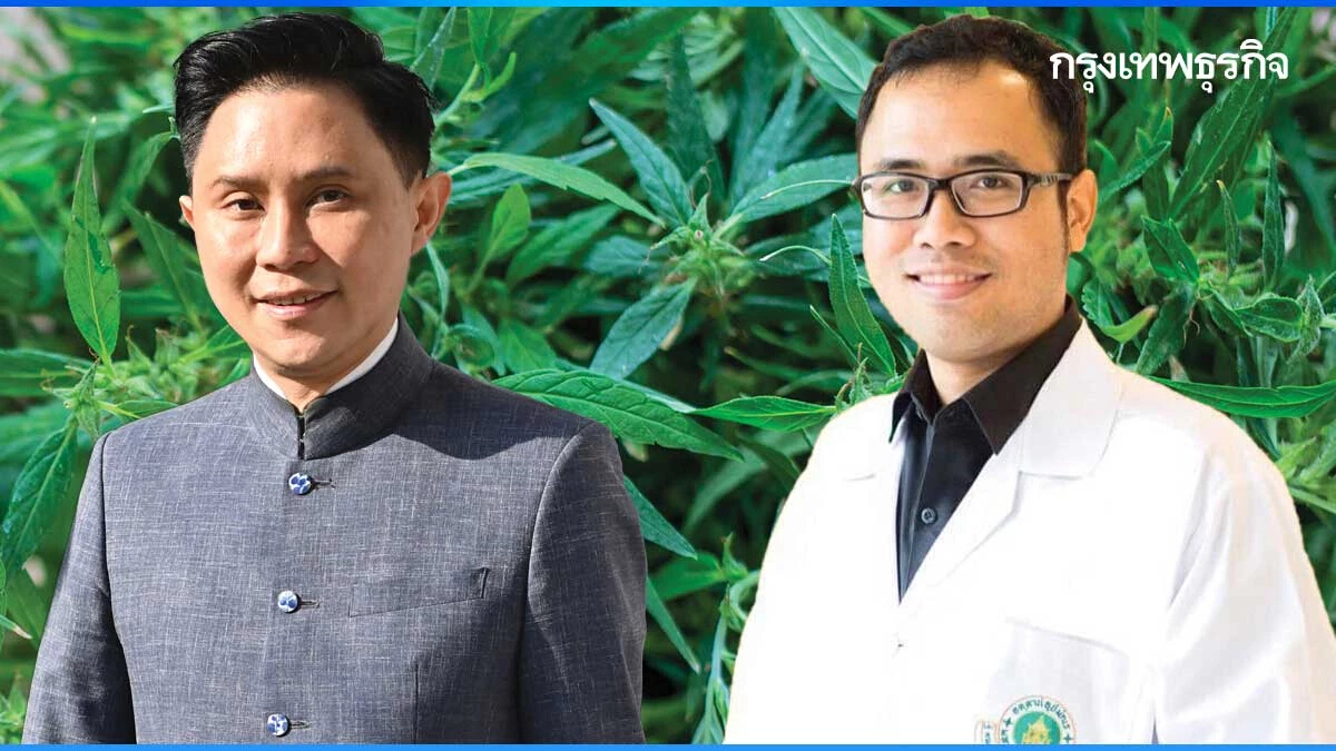 3 ทางเลือก“กัญชากัญชง” วันที่"นโยบายรัฐโลเล" คำของนายกฯ "สับสน"