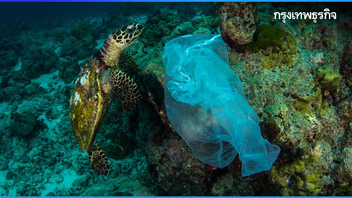 กฎหมายระหว่างประเทศฉบับใหม่ เครื่องมือยุติ ‘มลพิษจากพลาสติก’ | World Wide View